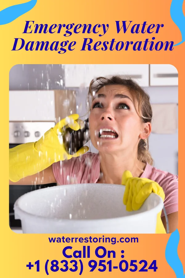 Emergency Water Damage Restoration in Evansburg, PA