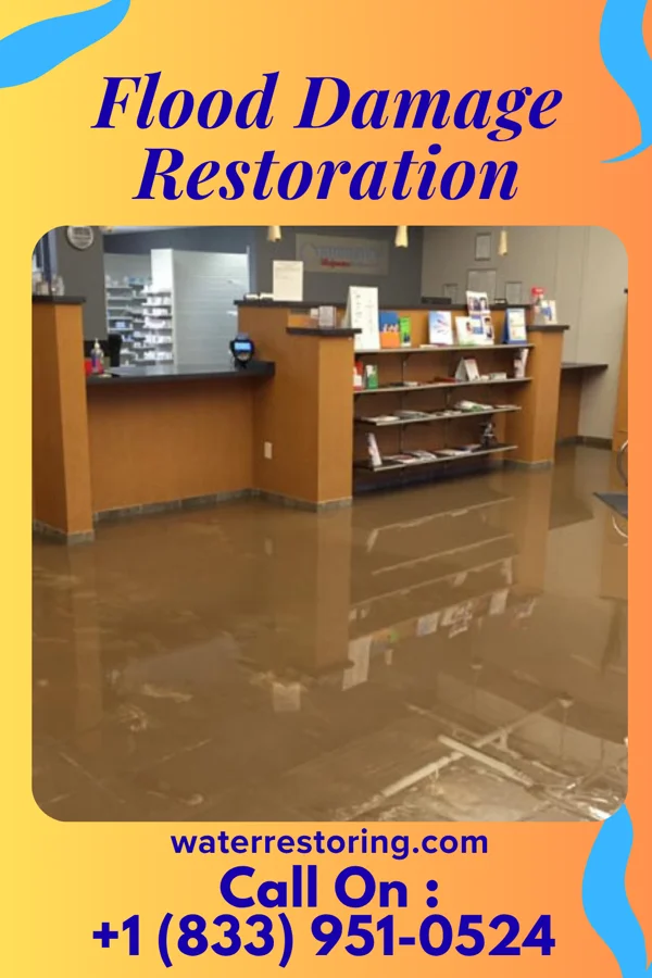 Flood Damage Restoration in Evansburg, PA