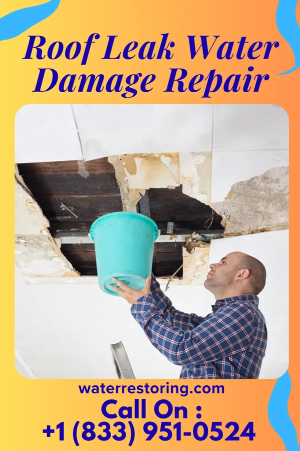 Roof Leak Water Damage Repair in Evansburg, PA