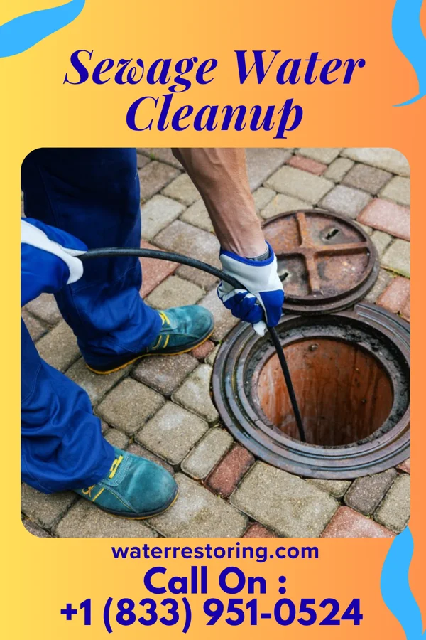Sewage Water Cleanup in Evansburg, PA